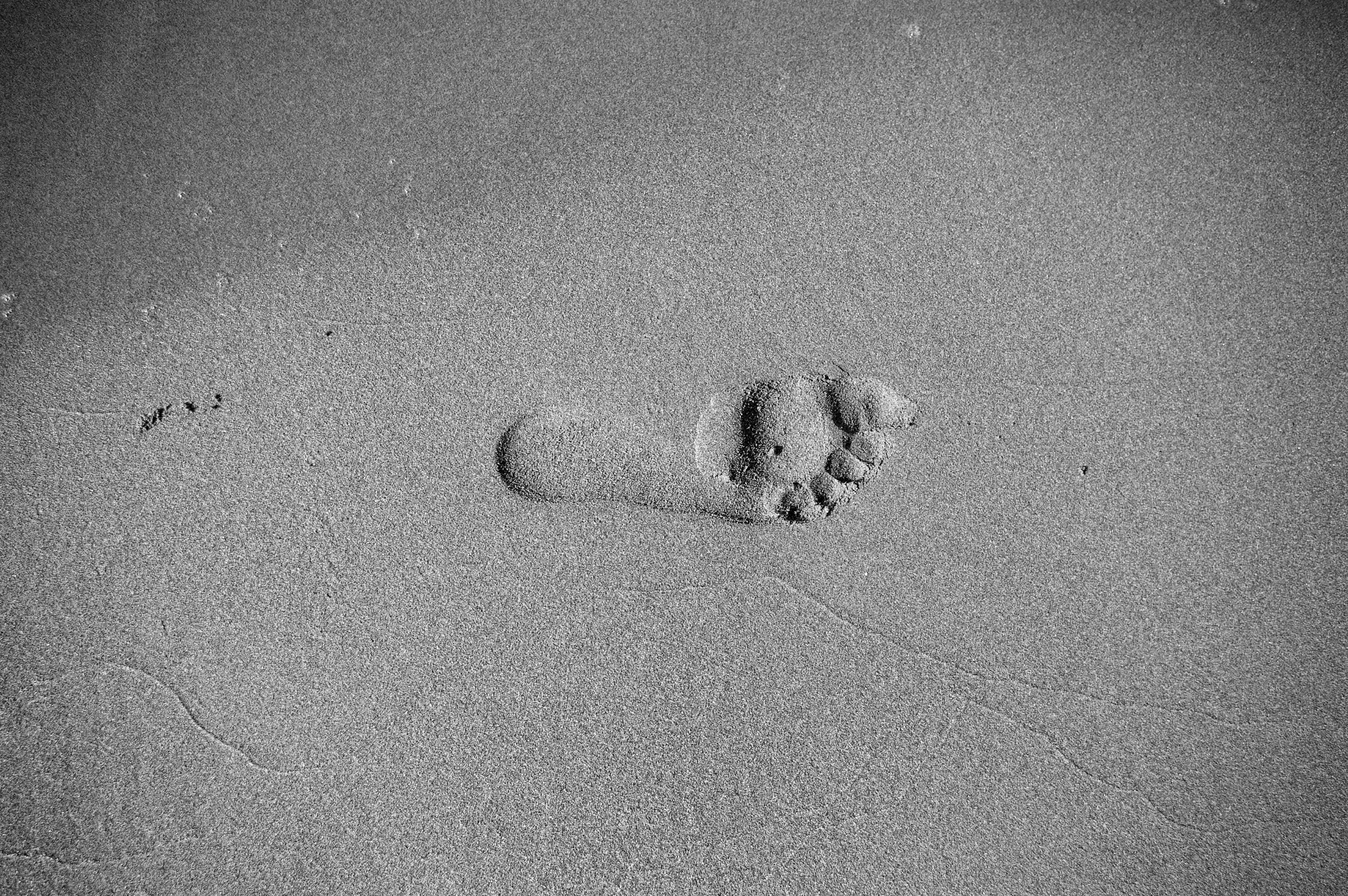 Grounding Late Summer Ritual